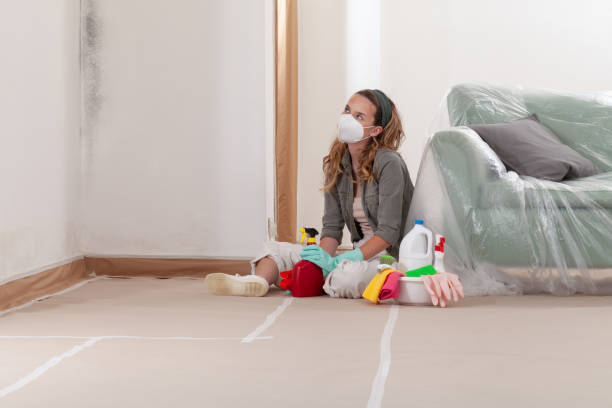 Mold Removal service in Alberta